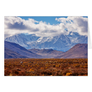 Cartão Tarde do Deserto
