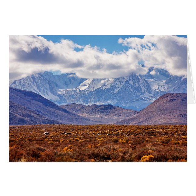Cartão Tarde do Deserto (Frente horizontal)