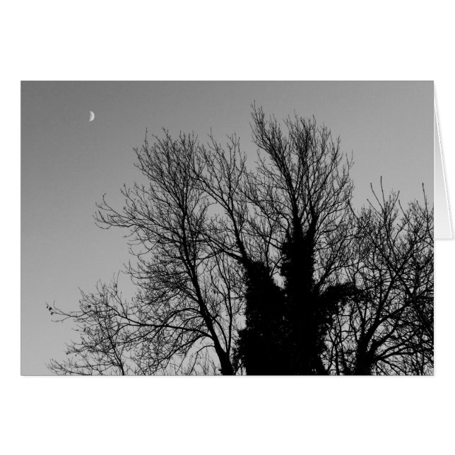 Cartão Tarde do inverno medieval (Frente Horizontal)