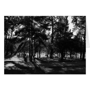 Cartão Tarde no Parque