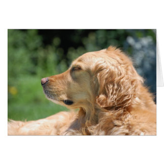 Cartão Tarde preguiçosa no Sol