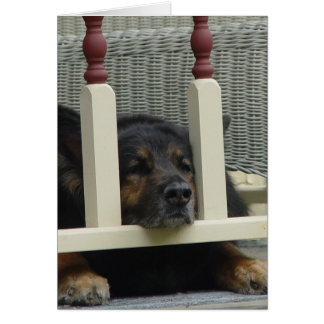 Cartão Tarde Preguiçosa Snooze