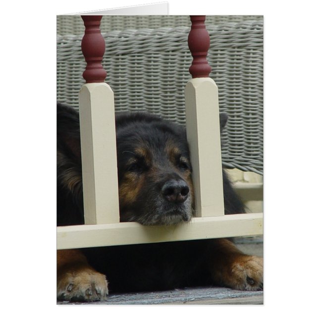 Cartão Tarde Preguiçosa Snooze (Frente)