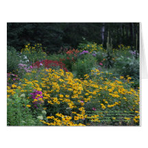 Tarde Verão, Mullein Ridgeline
