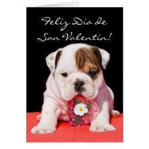 Cartão Tarjeta de San Valentin Cachorro