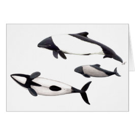 Cartão Tarjeta Delfin de Commerson o tonina ovejera