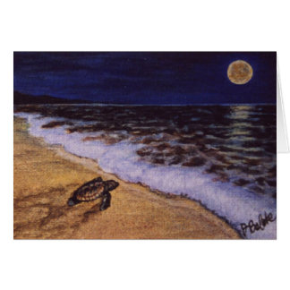 Cartão tartaruga bebê na praia da costa rica