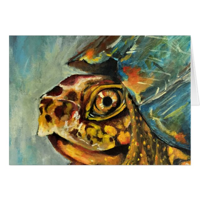 Cartão tartaruga de caixa (Frente Horizontal)