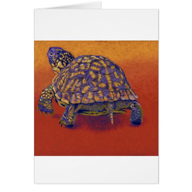 Cartão Tartaruga de caixa, tartaruga (Frente)