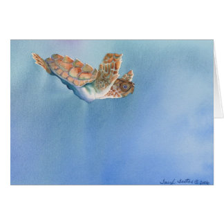 Cartão tartaruga de mar