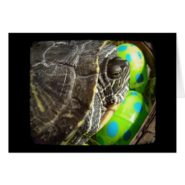 Cartão Tartaruga Felz pascoa (Frente Horizontal)