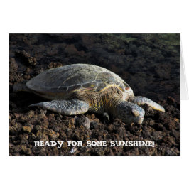 Cartão Tartaruga na lava