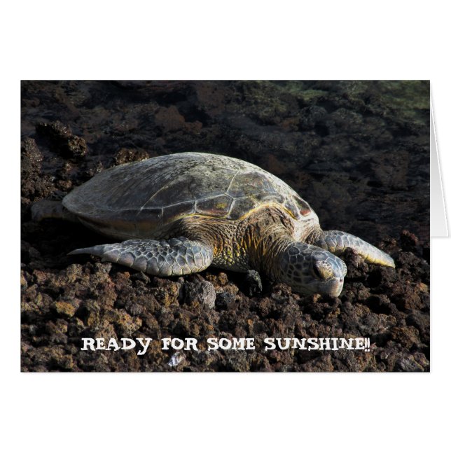 Cartão Tartaruga na lava (Frente Horizontal)