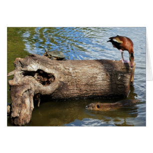 Cartão Tartaruga, Pato e Nutria