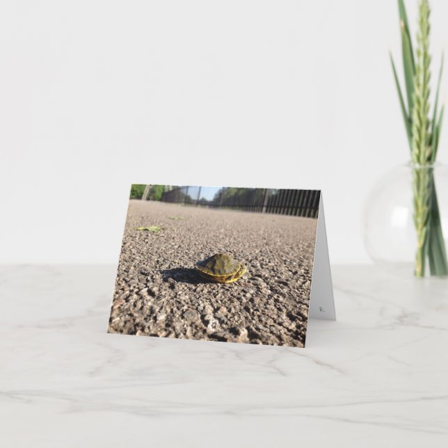 Cartão tartaruga-tartaruga (Frente)