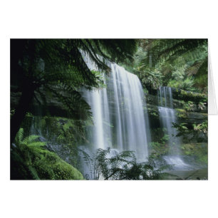 Cartão Tasmânia, Parque Nacional Mt. Field, Russell Falls