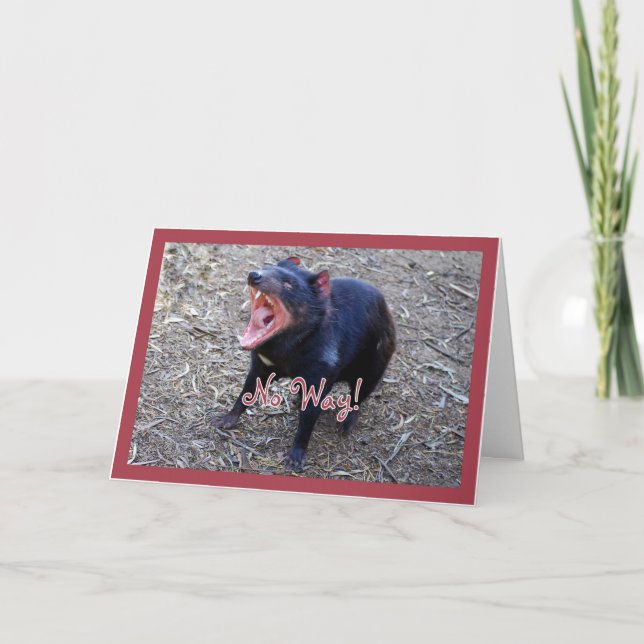 Cartão Tasmanian Devil Happy Birthday Greeting Card (Frente)