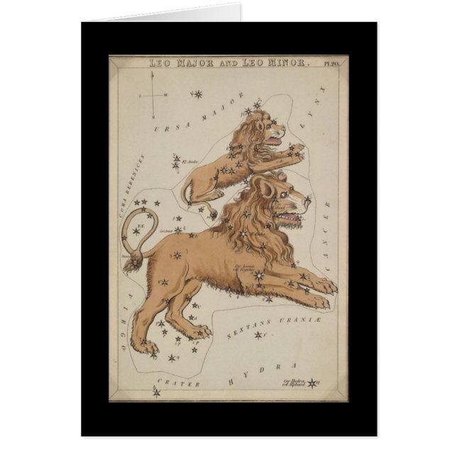 Cartão Taurus Greting Card (Frente)