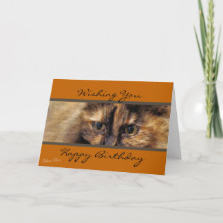 Cartão Taz HappyBirthday-customize