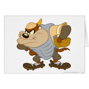 Cartão TAZ™ no Monte 2 do Catcher