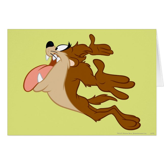 Cartão TAZ™ voando pelo ar (Frente Horizontal)