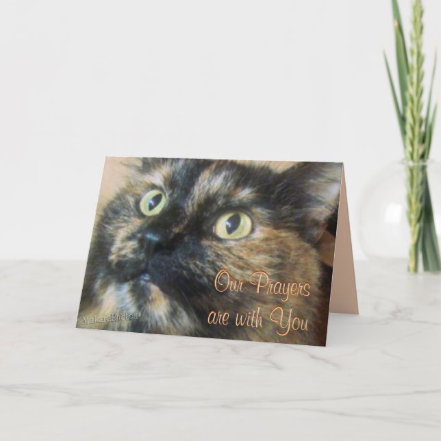 Cartão Tazzie Prayers- personalizar (Frente)