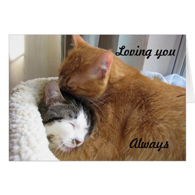 Cartão Te Amo, Sempre 036 (Frente Horizontal)