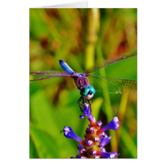 Cartão Teal Rainbow Dragonfly