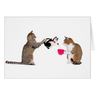 Cartão Teatime para gatinhos