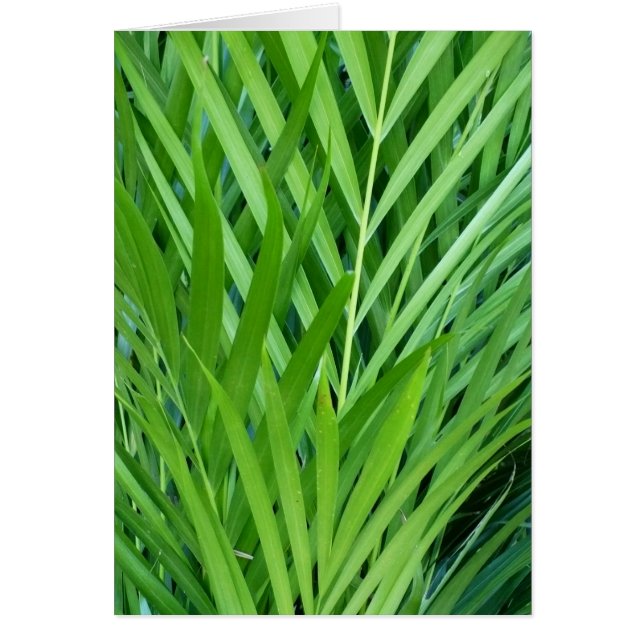 Cartão Tecido Em Verde (Frente)