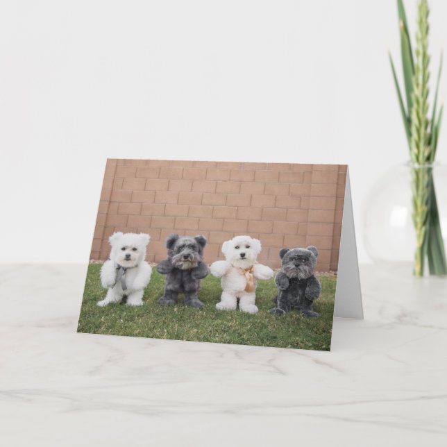 Cartão Teddy Bears (Frente)