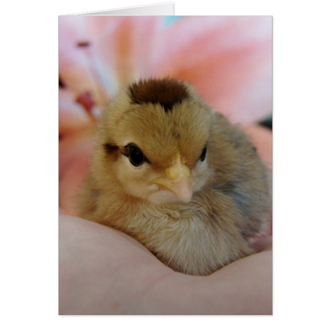 Cartão Teeny na minha mão (Frente)