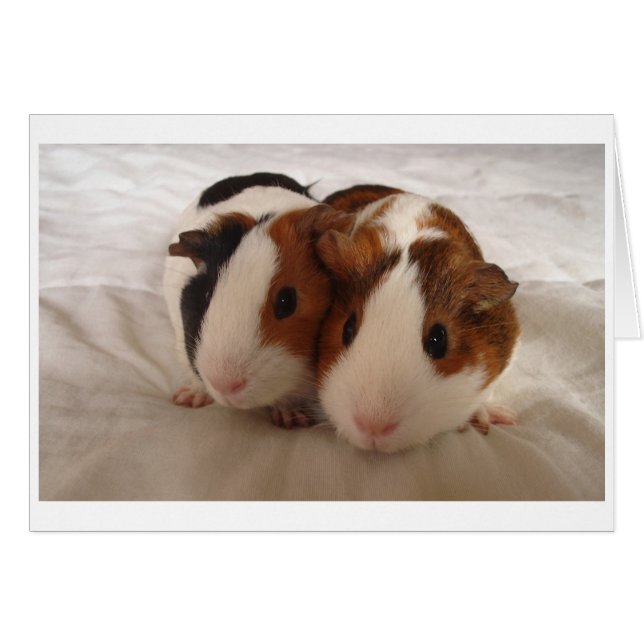 Cartão Telmha e Louise (Frente Horizontal)