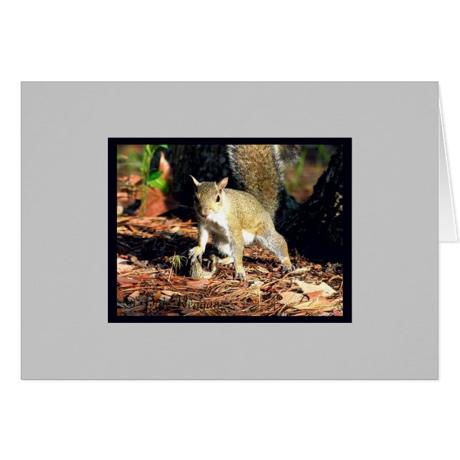 Cartão Tem Loucos? (Frente Horizontal)