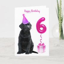 Tema Da Papoila De 6 Aniversário- Garota Rosa De C