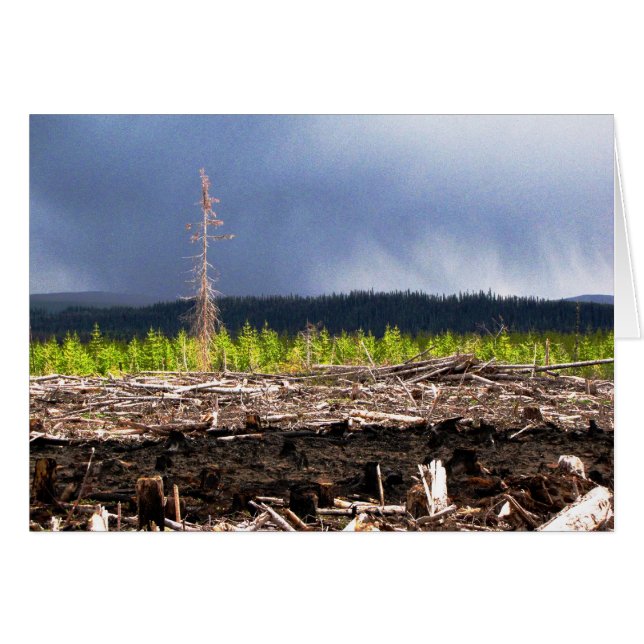 Cartão Tempestade de bloqueio (Frente Horizontal)