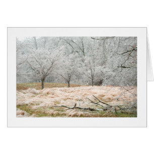 Cartão Tempestade de gelo Tennessee rural - fotografia