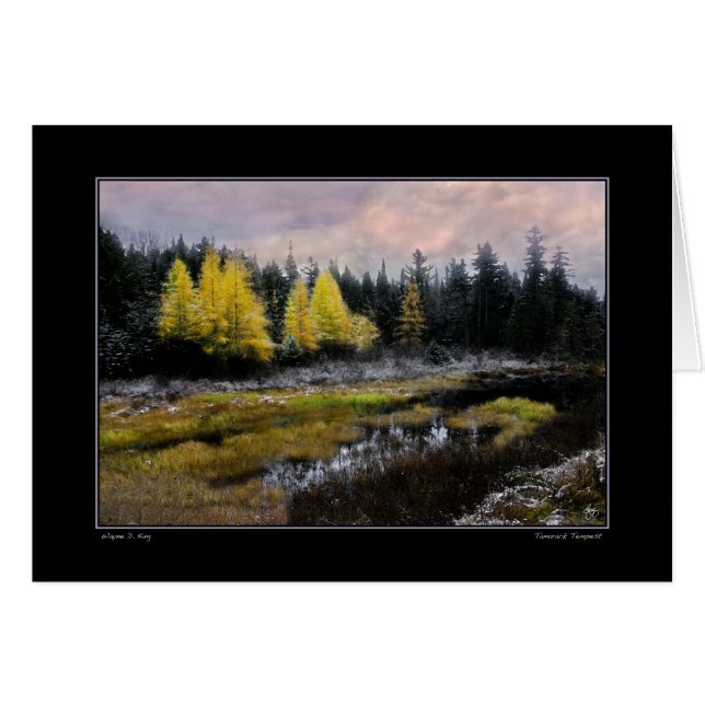 Cartão Tempestade de Tamarack (Frente Horizontal)