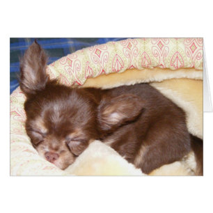 Cartão Tempo da sesta - vazio para dentro