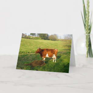 Cartão Tempo de alimentação da vaca de Guernsey