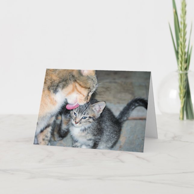 Cartão Tempo de banho (Frente)