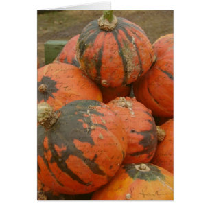 Cartão Tempo de Colheita