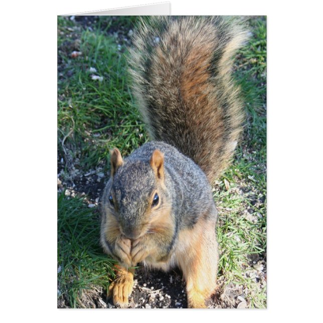 Cartão Tempo de janto (Frente)