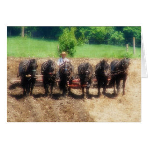 Cartão Tempo de Plantação