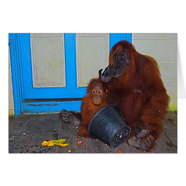 Cartão Tempo de refeição com Orangutan Mamãe (Frente Horizontal)