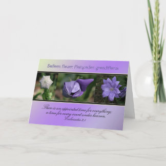 Cartão Tempo designado para tudo