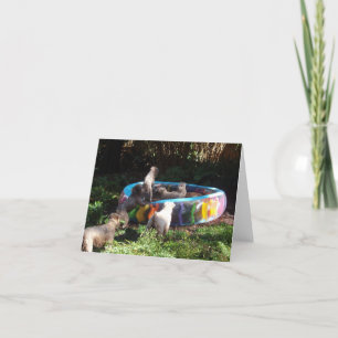 Cartão Tempo do partido!