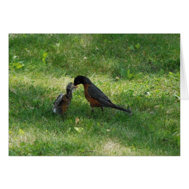 Cartão Tempo jante! (Frente Horizontal)