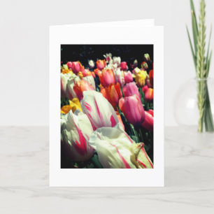 Cartão Tempting Tulips Note Card