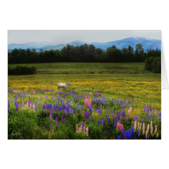 Cartão Tendo em vista (Frente Horizontal)